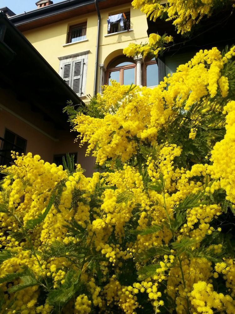 Omas Haus Villa Toscolano Maderno Exteriör bild