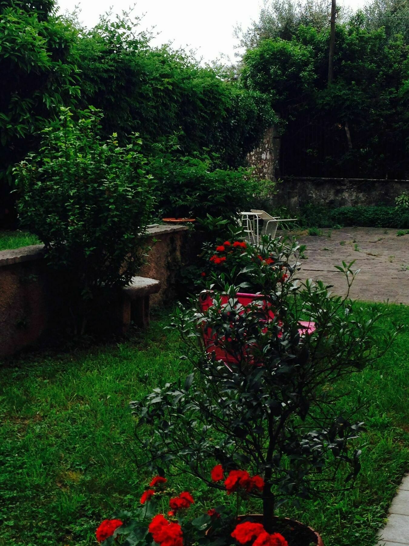 Omas Haus Villa Toscolano Maderno Exteriör bild